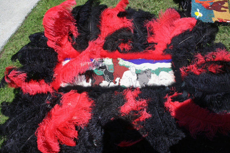 Mardi Gras 
 Indian